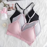 【CW】 Cotton Sling Beautiful Back Girl Bra Tube Top No Steel Ring Sports Wrapped Chest Student Girl Gather Thin Strap Bra Lace Bras