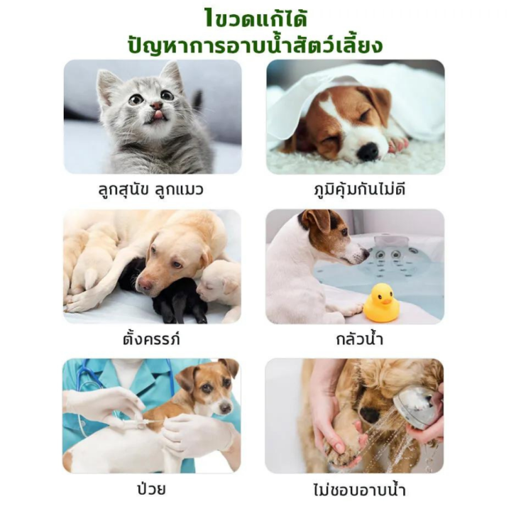 โฟมอาบน้ำแห้งหมา-โฟมอาบน้ำแห้งแมว-ดับกลิ้นสะตว์-โฟมอาบน้ำแห้งง่ายๆ-ขจัดกลิ่้น-แชมพูสุนัข-แชมพูแมว