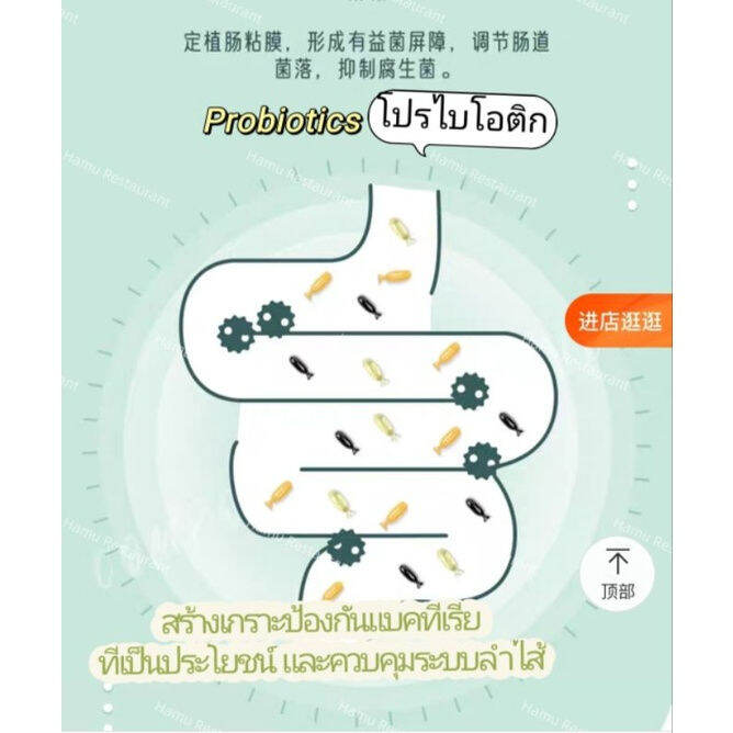 hamu-yee-life-no-1-capsule-แคปซูลวิตามินบำรุงร่างกายสำหรับแฮมสเตอร์-มีทั้งหมด-5-สูตร-อาหารเสริมแฮมสเตอร์