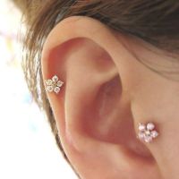 SEALLVIIT Tragus ผู้หญิงป้องกันอาการแพ้สแตนเลสดอกไม้เครื่องประดับเพทายเจาะหูตุ้มหูต่างหูเม็ดกลมต่างหูกระดูกอ่อนต่างหูแฟชั่นสตรี