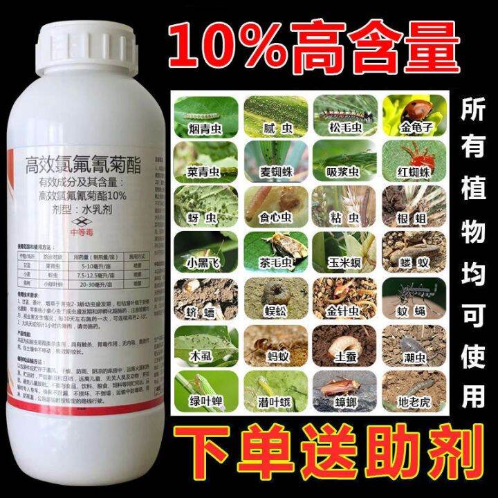 Hundred Insects Kill Vegetables Fruit Trees Flowers Cabbage Worms