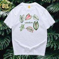 BILเสื้อยืดถูกๆ เสื้อยืดผู้ชาย t shirt (พร้อมส่ง)เสื้อยืด บอนสี caladium ไม้ด่าง ผ้า COTTON 100 %สีสด เนื้อผ้าดี ตรงปกสวยแน่นอนจ้า