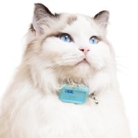 Pet Cat Waterproof Locator Collar Intelligent Positioning Device for Cats and Small Dogs Anti-Lost Location and Activity Tracker