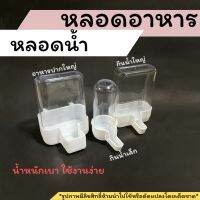 หลอดน้ำและหลอดอาหาร สำหรับสัตว์เล็ก เช่น นก หนู ชูก้า