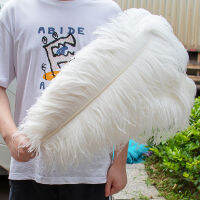 10Pcs ขนนกกระจอกเทศสีขาว15-60ซม.8-24 "Big Feather สำหรับงานฝีมืองานแต่งงาน Carnival ตกแต่งนกกระจอกเทศ Plumes ตาราง Centerpieces