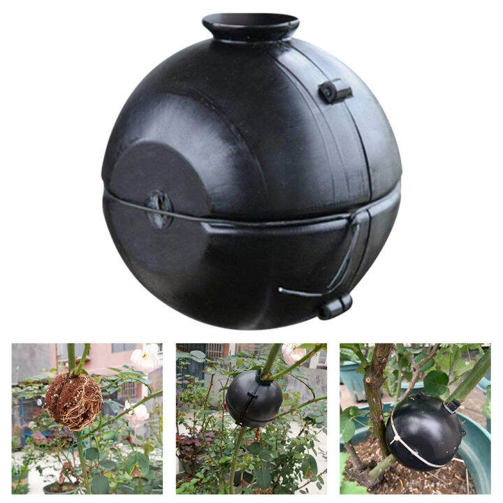 Assisted ABS Breeding Garden Indoor Outdoor Air Layering Growing