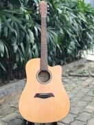 Đàn Guitar Acoustic SN1041 - Guitar cao cấp
