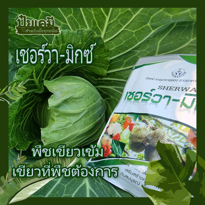 ปุ๋ยเคมี-ธาตุอาหารรอง-ธาตุอาหารเสริม-แมกนีเซียม9-เชอร์วา-มิกซ์