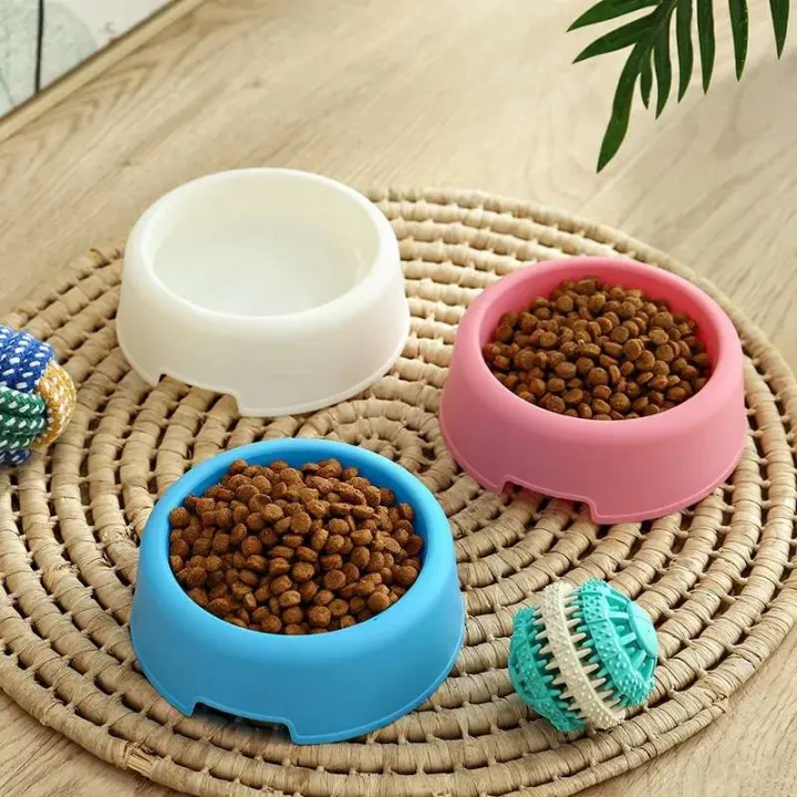 Candy Colored Light Weight Plastic Single Bowl for Small Pet, Various  Colors – Petzo