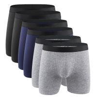 Cotton Mens Panties Underwear Boxer Shorts Long Leg Comfort Men Underpants Male Hombre Boxer Marca European Size Plus S-XXL