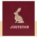 Túi xách cầm tay JustStar 2021 thiết kế sang trọng, phù hợp đi tiệc (TX012). 