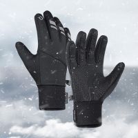 【CW】 Warm Gloves Touchscreen Cycling Hiking Windproof Anti-slip Thermal