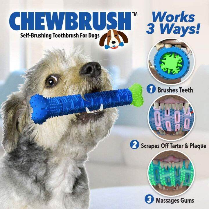 Dog Chew Brush Dental Toothbrush Bite Toy Lazada PH
