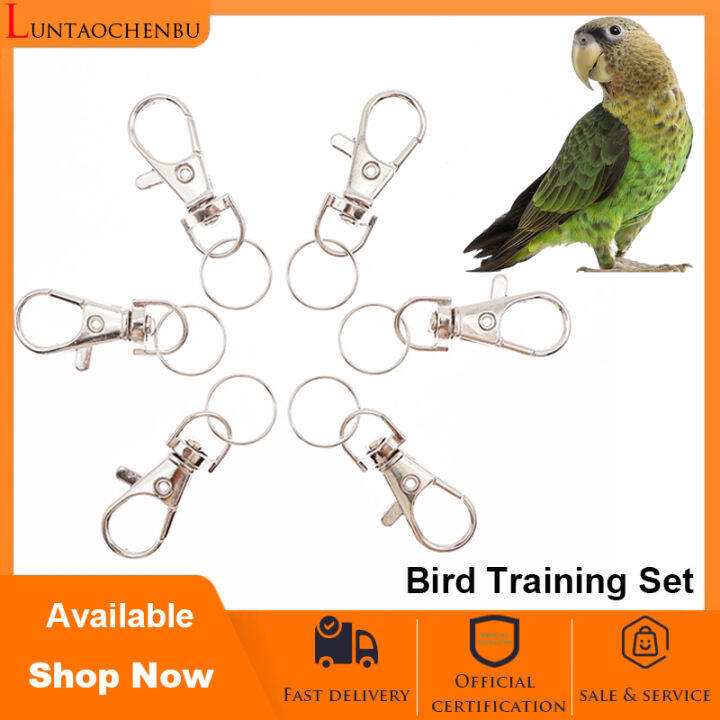 Metal Bird Cage Lock for parrot Parakeet cage door buckle Lazada PH
