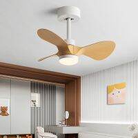 24Inch Mini Ceiling Fan Modern Simplicity Coffee shop Creative Fan Lights Aisle Balcony Childrens room Fan LighAts 110V 220V Exhaust Fans