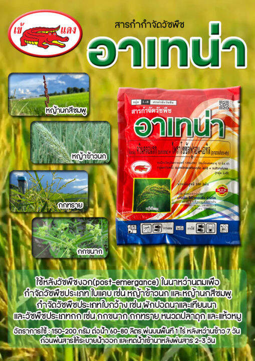 อาเทน่า ขนาด 100 กรัม ใช้กำจัดวัชพืชหลังงอก (postemergence) ในนาข้าวหว่านน้ำตม Lazada.co.th