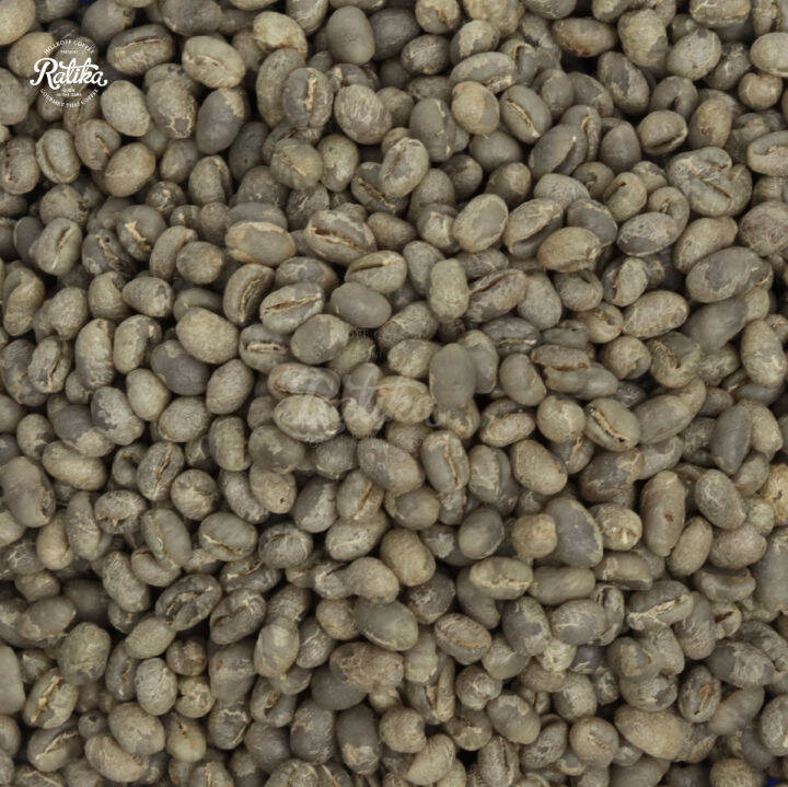 ratika-green-bean-wet-21-22-arabica-pang-ma-o-peaberry-1-kg-เมล็ดกาแฟสาร-ปางมะโอ-peaberry