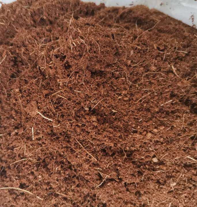 Cocopeat/ 椰糠、椰粉种植土- 1KG | Lazada