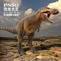 ? WW PNSO Dinosaur King Adult Big Kids Toy Model 2022 New Arrival Zhucheng Tyrannosaurus Hot Sale Spot Boxed