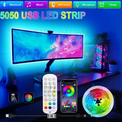 5M Led Strip Lights RGB Tape 5V USB Led Strip Bluetooth TV BackLight Room Decoration Led Lamp Diode Flexible Ribbon 1M 2M 3M LED Strip Lighting