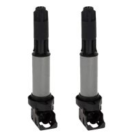 2X Ignition Coil for BMW E46 E53 E60 E70 E71 E90 323I 325I 535I X3 12131712219