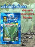 เมล็ดพันธุ์คะน้ายอด ตรารวงมงคล