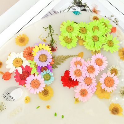 1 Bag Of Dried Flowers UV Resin Filler Jewelry Making Plant Decoration Flowers Chrysanthemum Natural Embossing Crafts Resin Mold