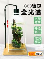 ✘☫▨ Full-spectrum aquatic plant lamp bamboo board ancient fish tank succulent potted micro-view fill light