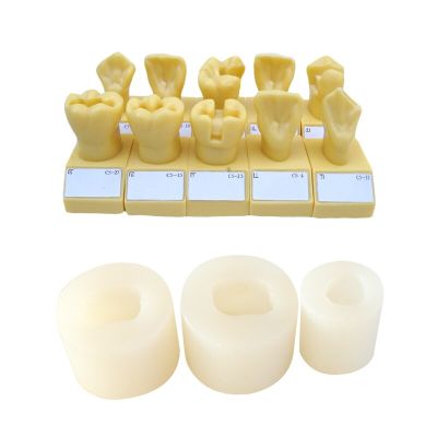 Dental Rubber Mould Single Permnent Teeth Mould Of Edentulous Jaw Complete Cavity Block With Hole No Hole Dental Lab Tools