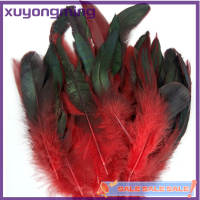 Xuyongming ขนไก่สีธรรมชาติจำนวนมาก50ชิ้นงานฝีมือขนไก่ไก่ฟ้าขนาด6-8นิ้ว