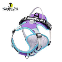 Nylon Adjustable Dog Harness Personalized Dog Harness Vest Reflective Breathable Harness Leash For Small Medium Large Dogs