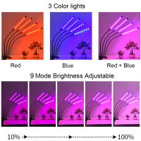 LED เติบโตไฟ USB Phyto ต้นกล้าโคมไฟเต็มสเปกตรัมพืชสวน Phytolamp ที่มีการควบคุมสำหรับการเพาะปลูกในร่มพืชดอก