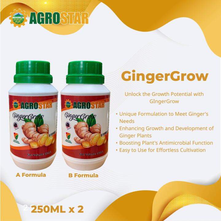 AGROSTAR - GingerGrow - Unique Formulation to Meet Ginger Needs ...