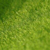 Plants Lawn Grass Decorative Fake Artificial Turf Micro Landscape Moss