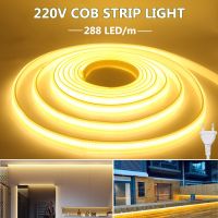 โคมไฟแถบ LED COB 220V 288LEDs/M,โคมไฟกลางแจ้งเชิงเส้นความหนาแน่นสูง RA90เทปไฟฟ้ายืดหยุ่น IP67กันน้ำพร้อมปลั๊กไฟ EU