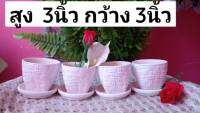 กระถางต้นไม้สีพาสเทล pastel  กระถางต้นไม้ (flowerpot) เป็นเซรามิกจากโรงงานลำปางมี 6 สีสวยงามสำหรับปลูกต้นไม้ด่าง สวยงามวางในสวนในบ้าน office