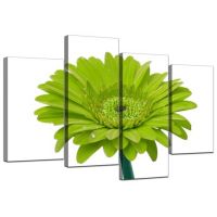 No Framed 4 Pcs Green Gerbera Daisy Flowers Floral Wall Art Print Decor Canvas Paintings Pictures Home for Living Room Posters