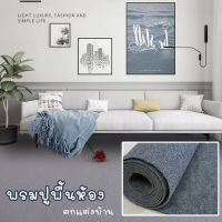 Metaverse Home-พรมปูพื้น พรมสำนักงาน ขนาดกว้าง 1 เมตร  (ตัดขายเป็นเมตร) วัสดุโพลีโพรพิลีนผ้าห่ม แผ่นพรมปูห้อง ติดตั้งเองได้ง่าย พรมปูพื้นXD-T8