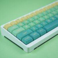 127 Keys PBT ข้อความเหมือนกับย้อมย่อยไม้ไผ่ดอกเบญจมาศ XDA รายละเอียดหมวกที่สำคัญสำหรับเชอร์รี่ Gateron MX สวิทช์วิศวกรรม Gamer แป้นพิมพ์