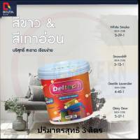 สีเดลต้าทาภายนอกและภายใน (DELTA)