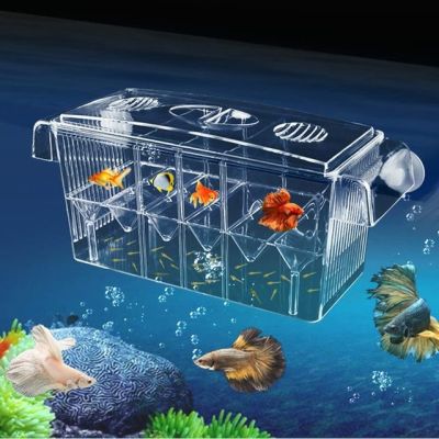 กล่องโรงเพาะฟักปลาแบบใสลอยน้ำได้4ห้องเครื่องบ่มเพาะพันธุ์ตู้ปลากล่องแยก Clear_L ตู้ปลาสองชั้น