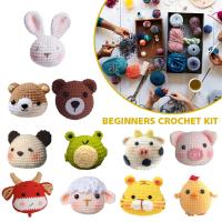 DIY Crochet Kit Beginner Set DIY Wool Felt Poked Needle Handcraft For Needle Bag H3O1