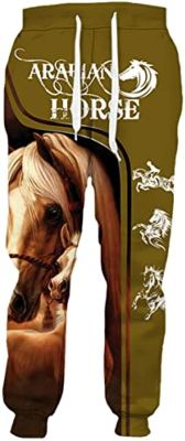 VIZANLY Horse Hunting Pants 3D Printing Fashion Jogging Fashion Pants Harajuku Streetwear Autumn Sweatpants Trousers 14 XL
