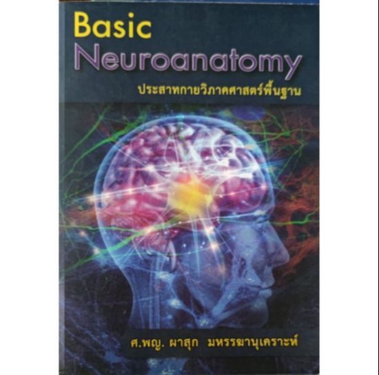 basic-neuroanatomy-ประสาทกายวิภาคศาสตร์พื้นฐาน