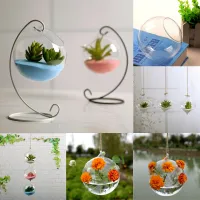 Transparent Vases Flower Plant Wall Hanging Clear Glass Vase Bottle Pot Home Garden Ball Decor Hand-blown Office Home Decoration