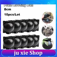 JuXie store 8cm Plant Rooting Box High Pressure Propagation Ball Grafting Device Garden Grafting Plant Root Controller Black x 10pcs