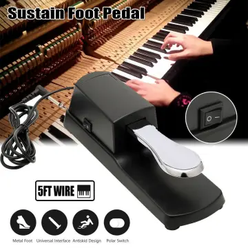 3.5mm Interface Compact Sustain Pedal Universal Dual Pedal for Musical  Instruments Portable Roll Up Piano Electronic Keyboard Elctronic Roll Up  Drum