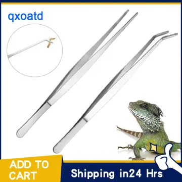 Shop Reptile Feeder Tong with great discounts and prices online - Nov 2023