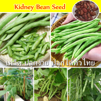 【ปลูกง่าย ปลูกได้ทั่วไทย】50เมล็ด/ซอง Fresh Kidney Bean Seed for Gardening เมล็ดพันธุ์ผัก เมล็ดผัก Vegetable Seed Planted All Seasons เมล็ดพืช ผักสวนครัว ปลูกผัก การันตีอัตรางอก Green Oak Flower Plant บอนสี ดอกไม้ เมล็ดนำเข้า ของแท้ ประเทศไทยพร้อมสต็อก