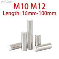 16mm-100mm 304 Stainless Steel Cylindrical Pins Locating Dowel M10 M12 Parallel Pins Fastener Solid Cylinder Metal Dowel Pins